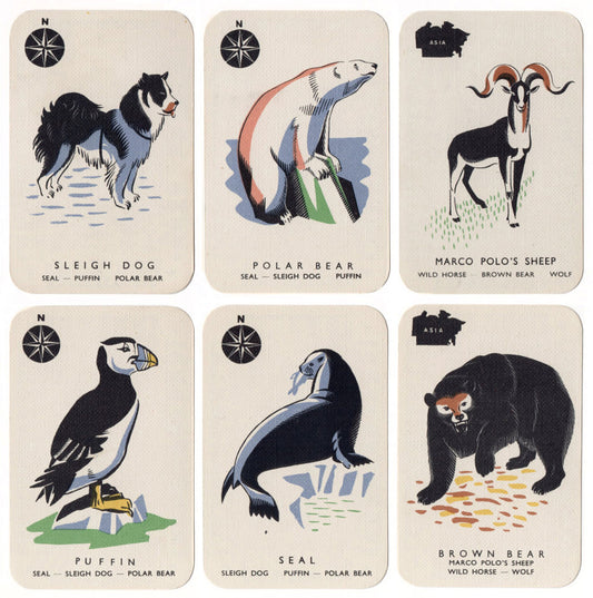 Animal Families, 1940s.