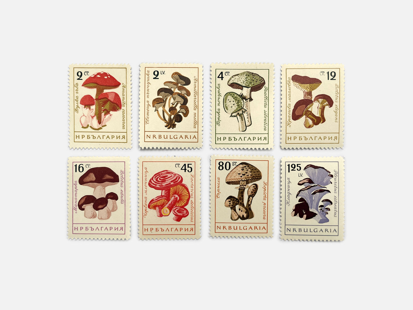 Bulgarian Mushroom Stamps (1961)